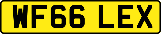 WF66LEX