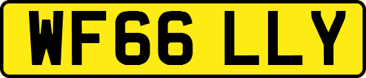 WF66LLY