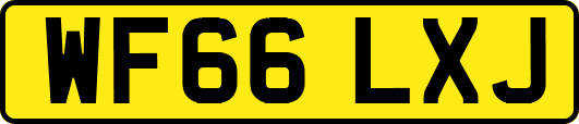 WF66LXJ