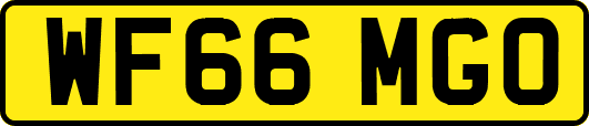 WF66MGO