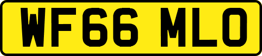 WF66MLO