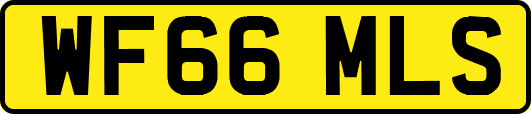 WF66MLS