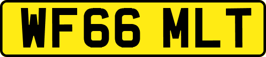 WF66MLT