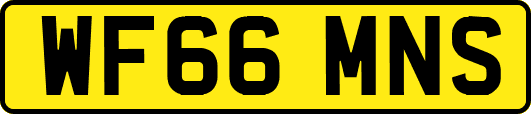 WF66MNS