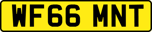WF66MNT