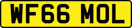 WF66MOL