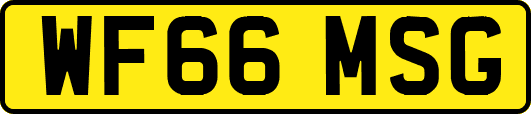 WF66MSG