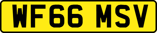 WF66MSV
