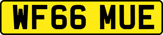 WF66MUE
