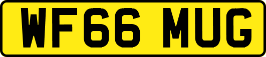 WF66MUG