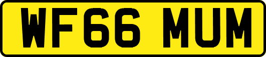 WF66MUM