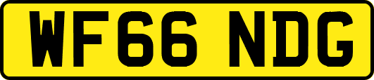 WF66NDG