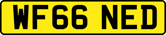 WF66NED