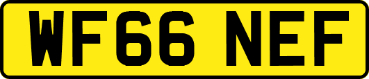 WF66NEF