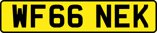 WF66NEK