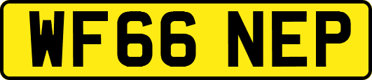 WF66NEP