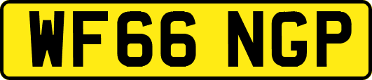WF66NGP