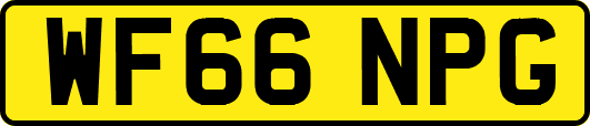 WF66NPG