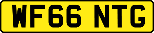 WF66NTG