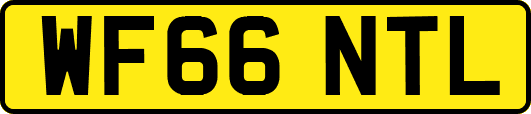 WF66NTL