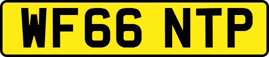 WF66NTP
