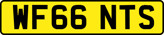 WF66NTS
