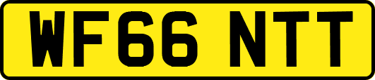 WF66NTT