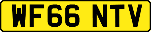 WF66NTV