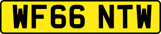 WF66NTW