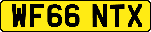 WF66NTX