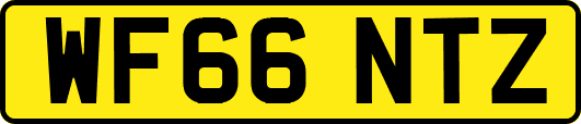 WF66NTZ