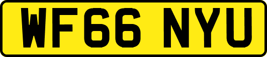 WF66NYU