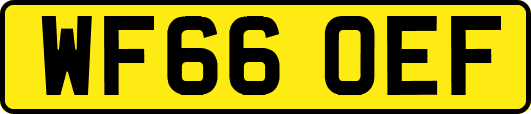 WF66OEF