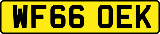 WF66OEK