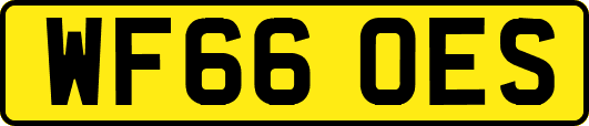 WF66OES
