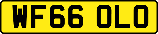 WF66OLO