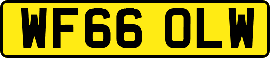 WF66OLW