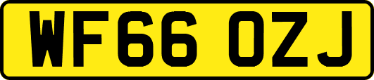 WF66OZJ