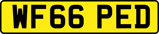 WF66PED