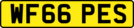 WF66PES