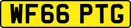 WF66PTG