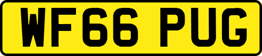 WF66PUG