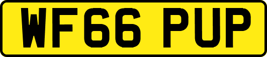 WF66PUP