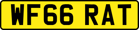 WF66RAT