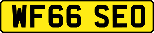 WF66SEO