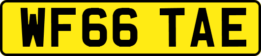 WF66TAE
