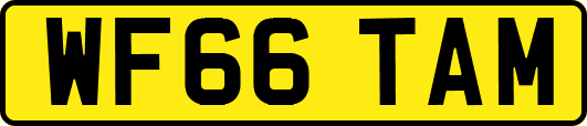 WF66TAM