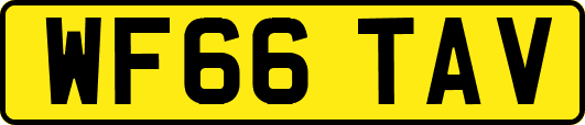 WF66TAV