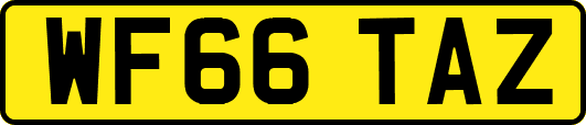 WF66TAZ