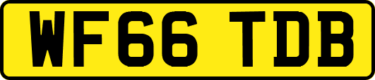 WF66TDB